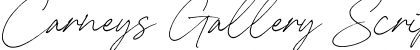 Download Carneys Gallery Script Demo Ver Regular Font Title Preview