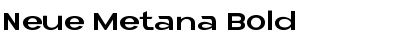 Download Neue Metana Bold Font