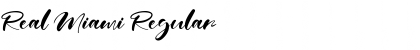 Download Real Miami Regular Font Title Preview