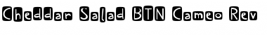 Download Cheddar Salad BTN Cameo Rev Regular Font Title Preview
