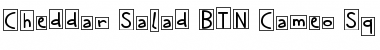 Download Cheddar Salad BTN Cameo Sq Regular Font Title Preview