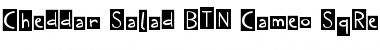 Download Cheddar Salad BTN Cameo SqRev Regular Font Title Preview