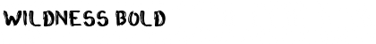 Download Wildness Bold Font Title Preview
