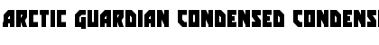 Download Arctic Guardian Condensed Condensed Font Title Preview