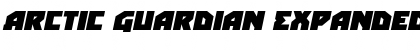 Download Arctic Guardian Expanded Italic Expanded Italic Font Title Preview
