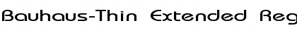 Download Bauhaus-Thin Extended Regular Font Title Preview