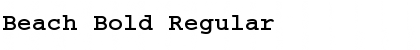 Download Beach Bold Regular Font Title Preview