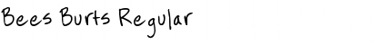 Download Bees Burts Regular Font Title Preview