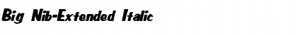 Download Big Nib-Extended Italic Font Title Preview