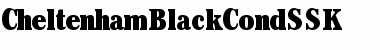 Download CheltenhamBlackCondSSK Regular Font Title Preview