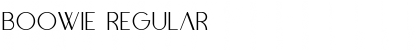 Download BOOWIE Regular Font Title Preview