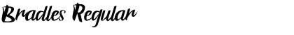 Download Bradles Regular Font Title Preview
