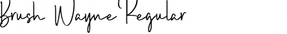Download Brush Wayne Regular Font Title Preview