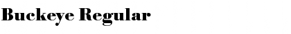 Download Buckeye Regular Font Title Preview