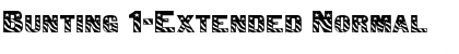 Download Bunting 1-Extended Normal Font Title Preview