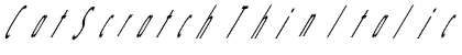 Download CatScratch Thin Italic Regular Font Title Preview