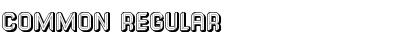 Download Common Regular Font Title Preview