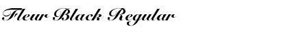 Download Fleur Black Regular Font Title Preview