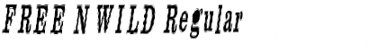 Download FREE N WILD Regular Font Title Preview