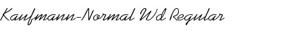 Download Kaufmann-Normal Wd Regular Font Title Preview