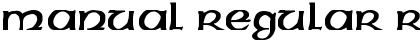 Download Manual Regular Regular Font Title Preview