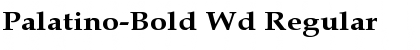 Download Palatino-Bold Wd Regular Font Title Preview
