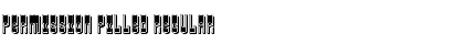 Download Permission Filled Regular Font Title Preview