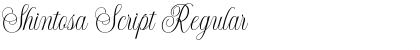 Download Shintosa Script Regular Font Title Preview