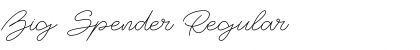 Download Big Spender Regular Font Title Preview