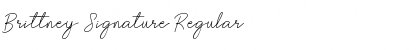 Download Brittney Signature Regular Font Title Preview