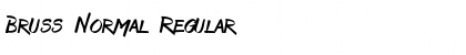 Download Bruss Normal Regular Font Title Preview