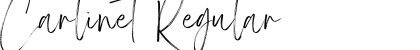 Download Carlinet Regular Font Title Preview