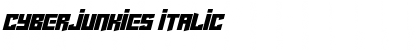Download Cyberjunkies Italic Font Title Preview