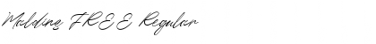 Download Maldins FREE Regular Font Title Preview