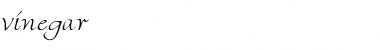 Download Vinegar Regular Font Title Preview