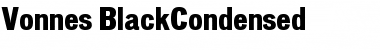 Download Vonnes Regular Font Title Preview