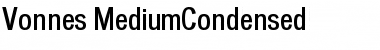 Download Vonnes Regular Font Title Preview