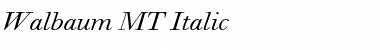 Download Walbaum MT Italic Font Title Preview