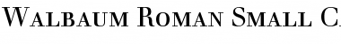 Download Walbaum Roman Font Title Preview