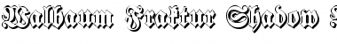 Download Walbaum-Fraktur Shadow Bold Font Title Preview