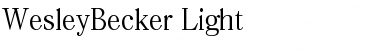 Download WesleyBecker-Light Regular Font Title Preview