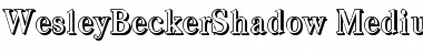 Download WesleyBeckerShadow-Medium Regular Font Title Preview