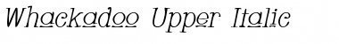 Download Whackadoo Upper Italic Font