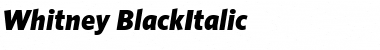 Download Whitney Medium Italic Font Title Preview