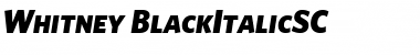 Download Whitney Medium Italic Font Title Preview