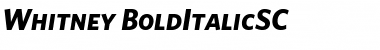 Download Whitney Bold Italic Font Title Preview