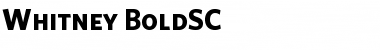Download Whitney Bold Font Title Preview