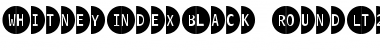 Download WhitneyIndexBlack Medium Font Title Preview