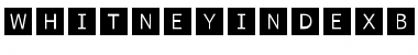 Download WhitneyIndexBlack Medium Font Title Preview