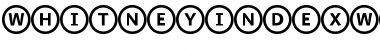 Download WhitneyIndexWhite Medium Font Title Preview